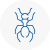 Ant Removals In Glynneath
