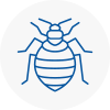 Bed Bug Extermination In Glynneath
