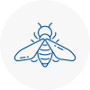 Bee Nest Removal Glynneath