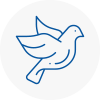 Bird Prevention Glynneath