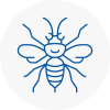 Glynneath Hornet Nest Removals