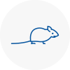 Mice Exterminators In Glynneath