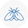 Moth Control Specialists In Glynneath