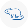 Rat Control Glynneath