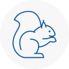 Glynneath Rodent Removals