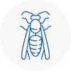 Glynneath Wasp Nest Removal